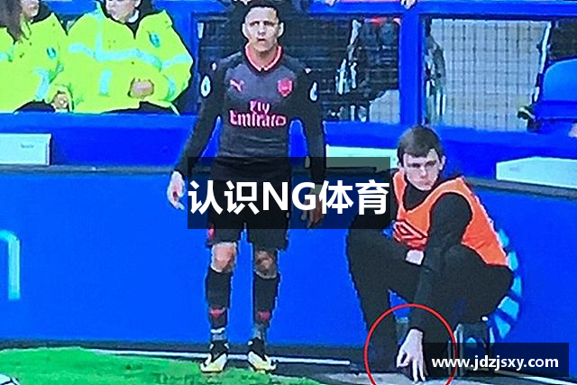 认识NG体育